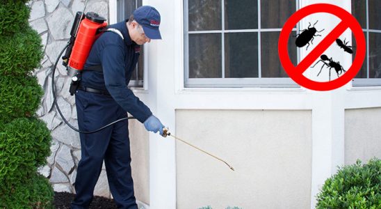 Evka 2 Kemirgen İlaçlama böcek ilaçlama ve haşere kontrolü — ilaclama-tr.com